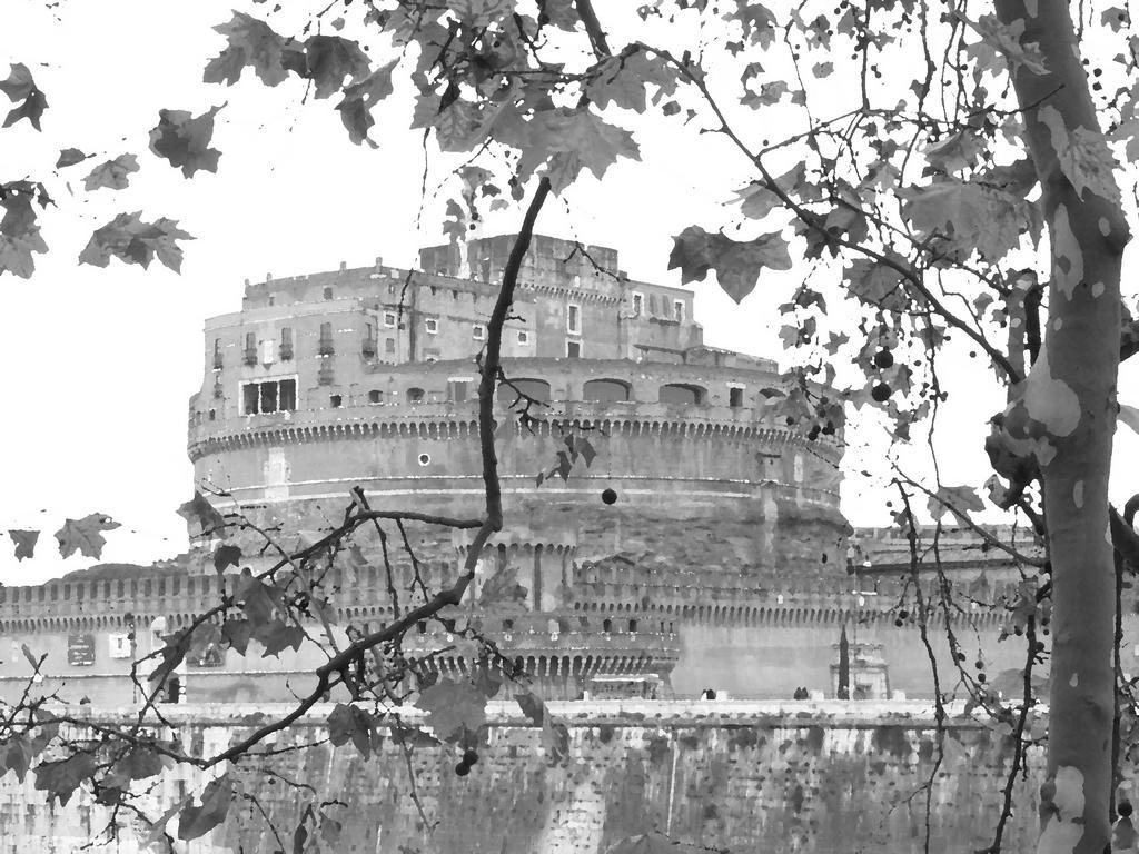Blueberry * Roma